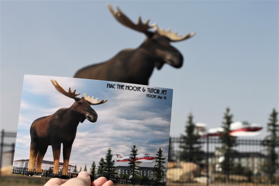 A new image of Mac is featured on Tourism Moose Jaw’s postcards, courtesy of a photo contest held a few weeks ago. (photo by Larissa Kurz)