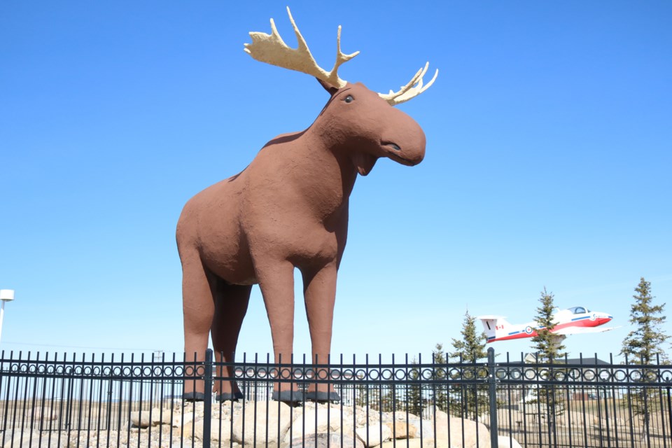 mac the moose spring 2019