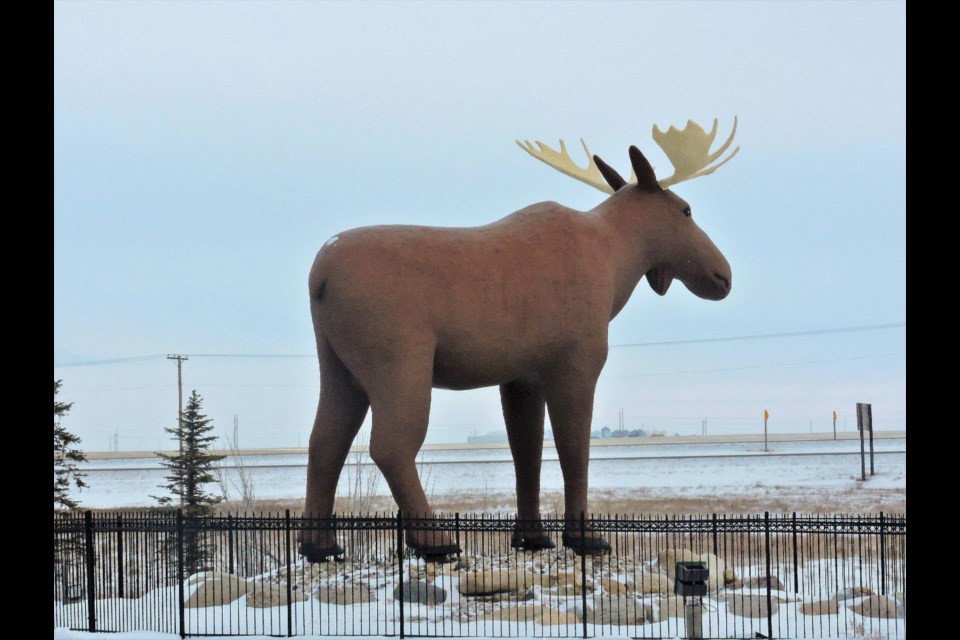 Mac the Moose to reclaim its former glory. (Sasha-Gay Lobban)