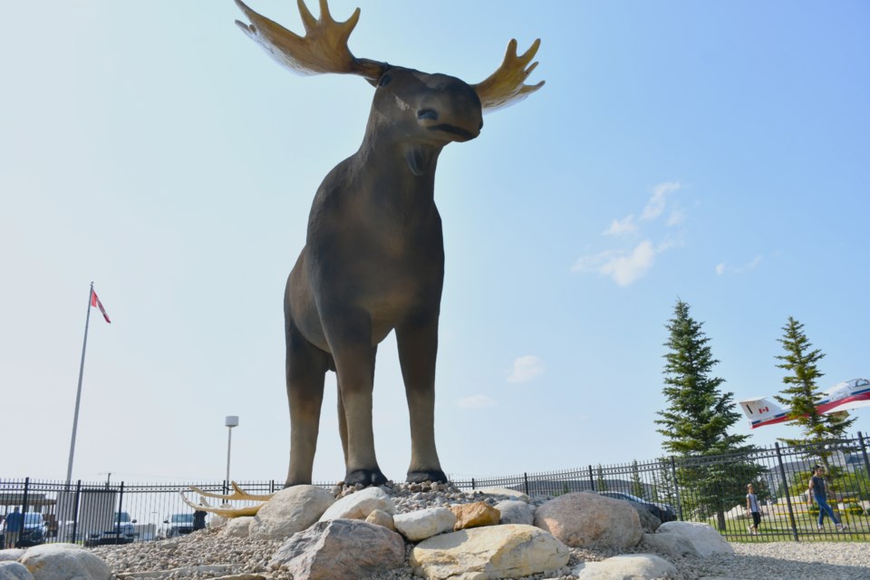 mac-moose-4
