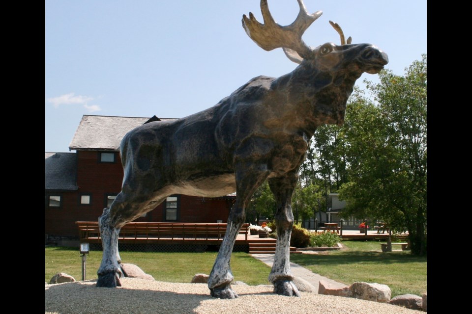 Big moose (Ron Walter photo)