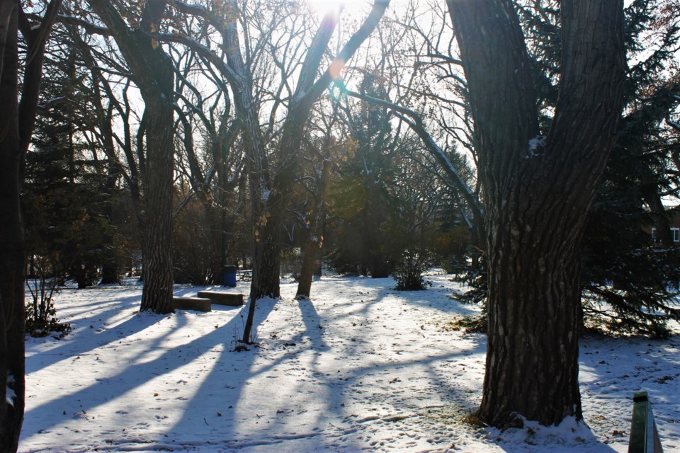 crescent park winter