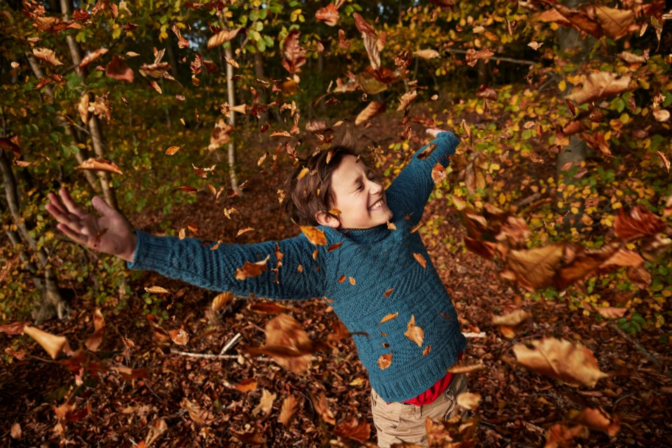 Fall leaves