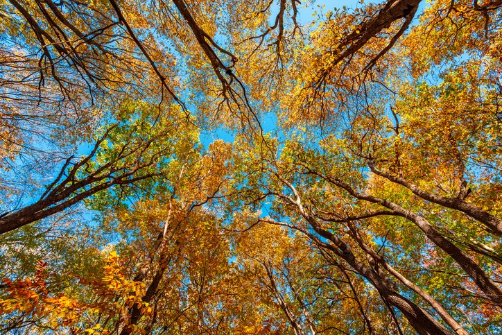 fall weather getty images