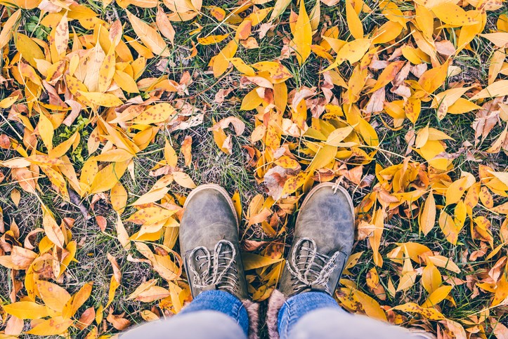 fall weather leaves getty images