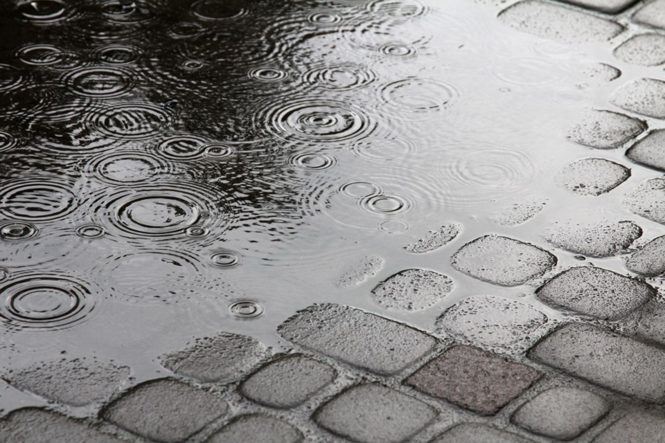 rain puddle shutterstock