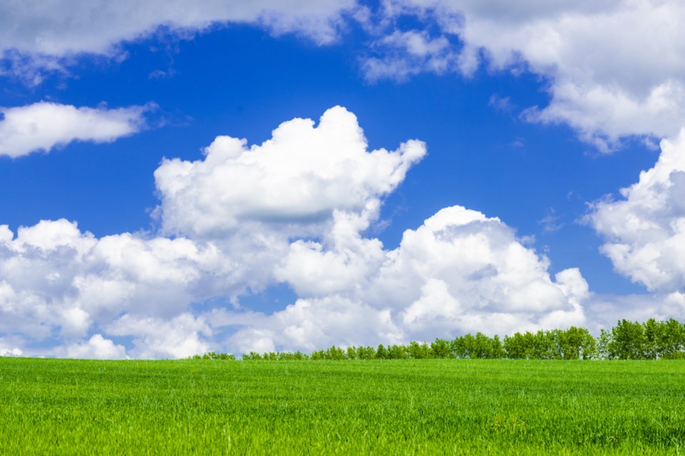 shutterstock nice day
