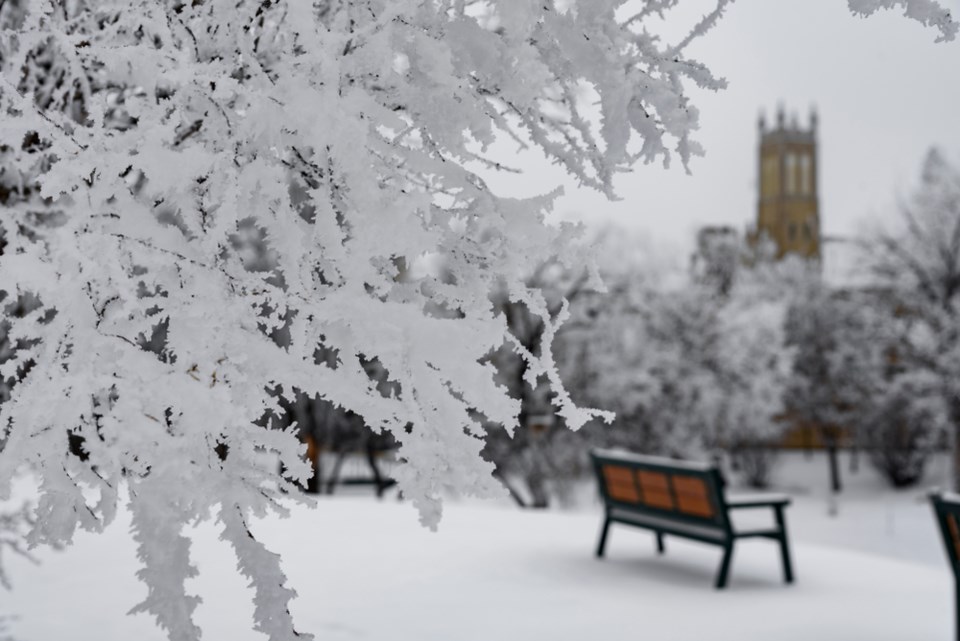 snowy scene crescent park stock photo