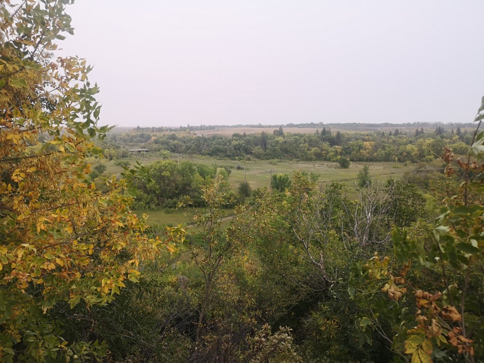 turning-into-fall