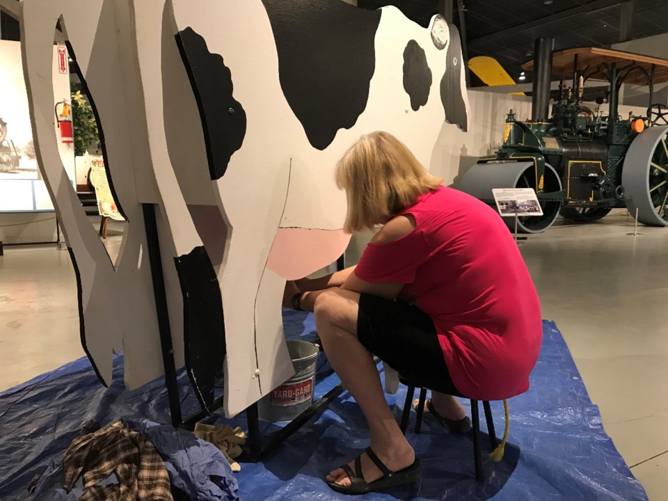 WDM volunteer