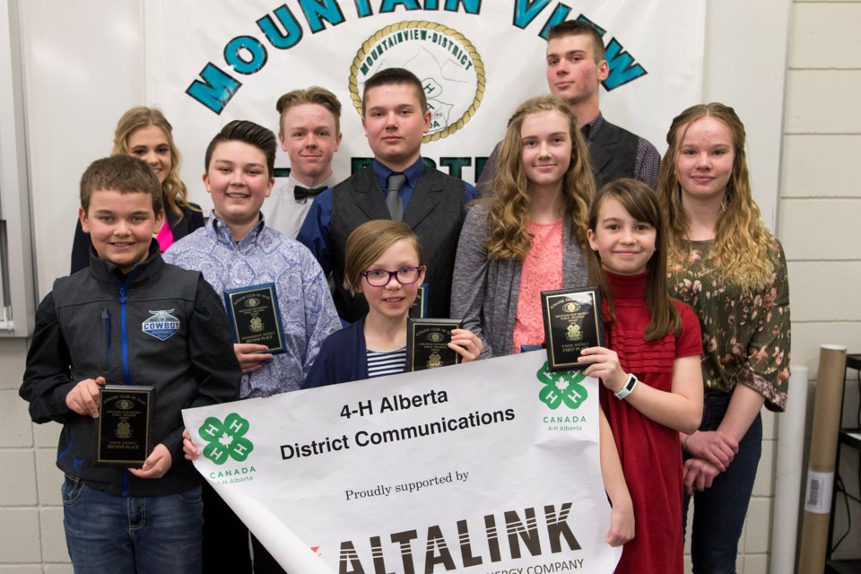 4-H members shine