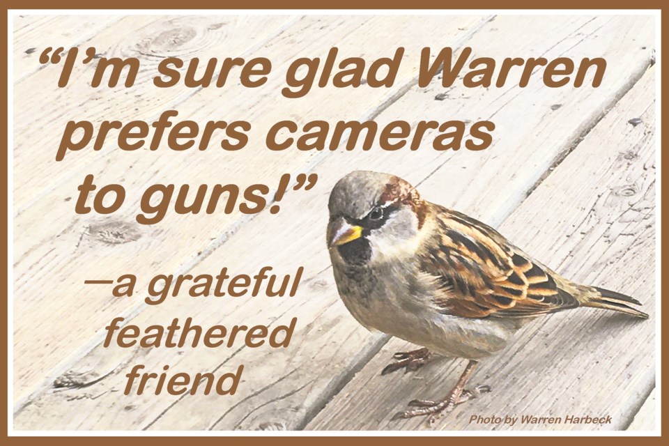 CT Nov 4 Warren Collage