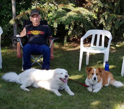 Dan and Dogs - Summer 2019