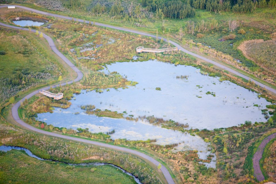 DID memorial park aerial