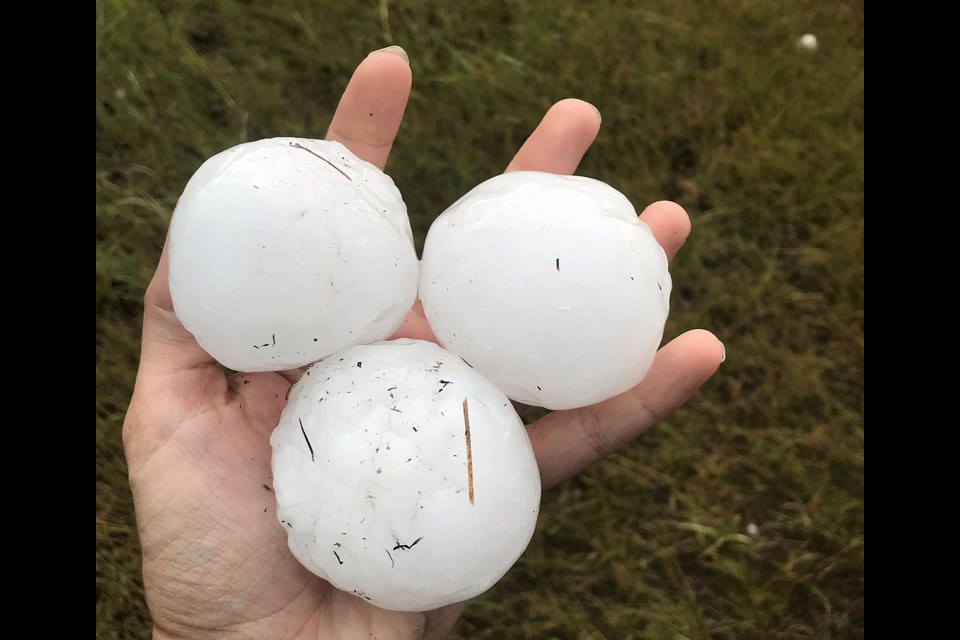 Baseball-sized hail that terrorized motorists and citizens in Innisfail and area during a storm in the early evening of Aug. 1. 
Facebook photo