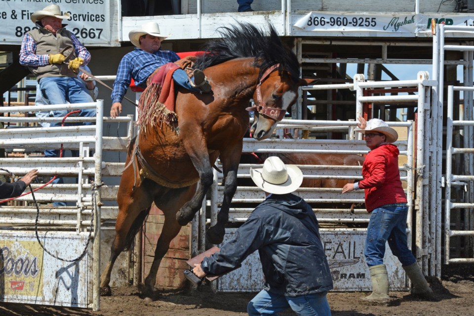 Innisfail rodeo and parade cancelled WEB