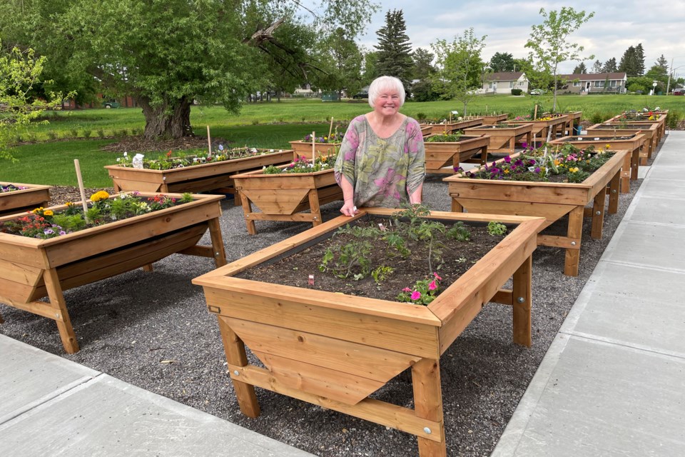 Elaine Brown, a resident of Innisfail's Autumn Grove, stands near her raised garden bed outside the front of the town's new retirement and assisted living facility. Johnnie Bachusky/MVP Staff