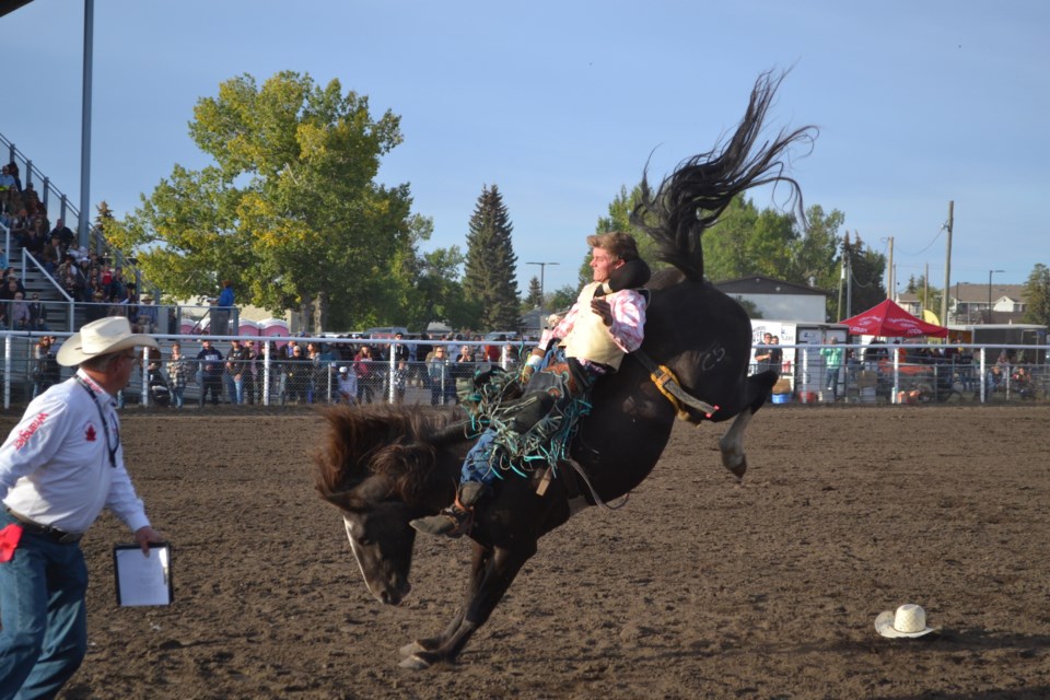A bareback rider hangs on for life during the Oldstoberfest rodeo, held Sept. 16-17 in Olds.