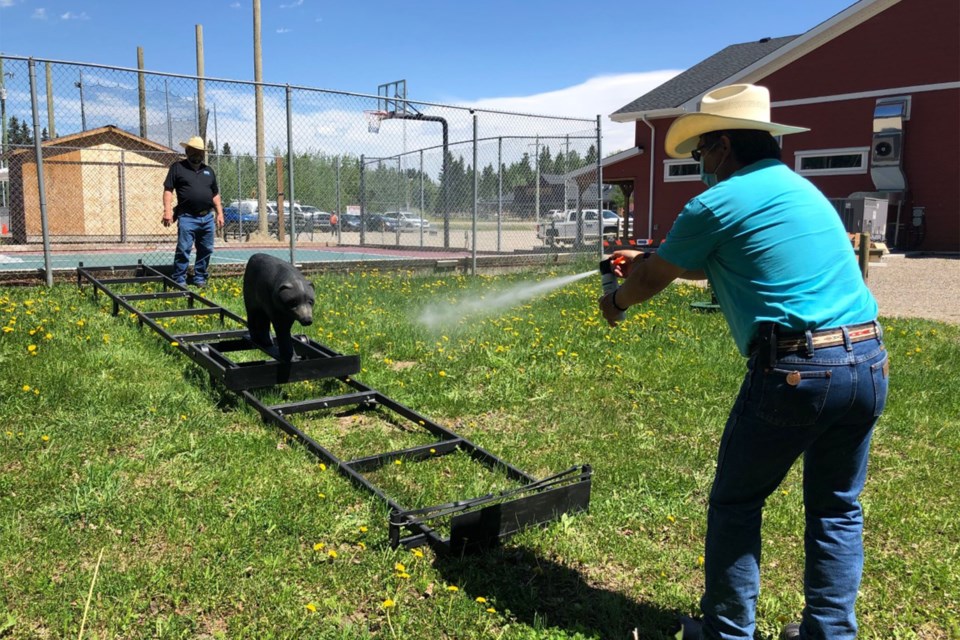 MVT bear spray lesson