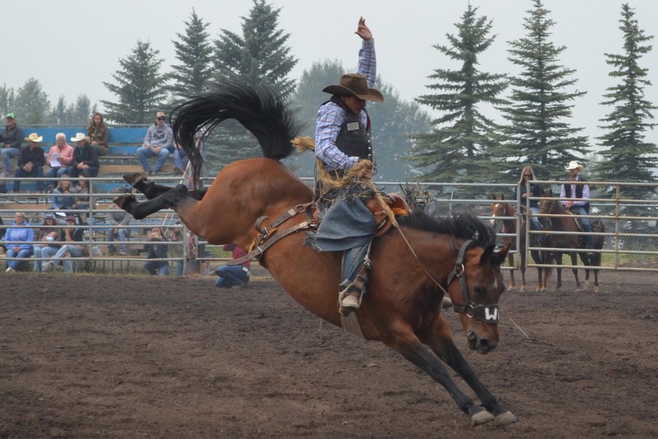 A saddle bronc rider plys his trade during the 2021 edition of Bowden Daze.
Doug Collie/MVP Staff