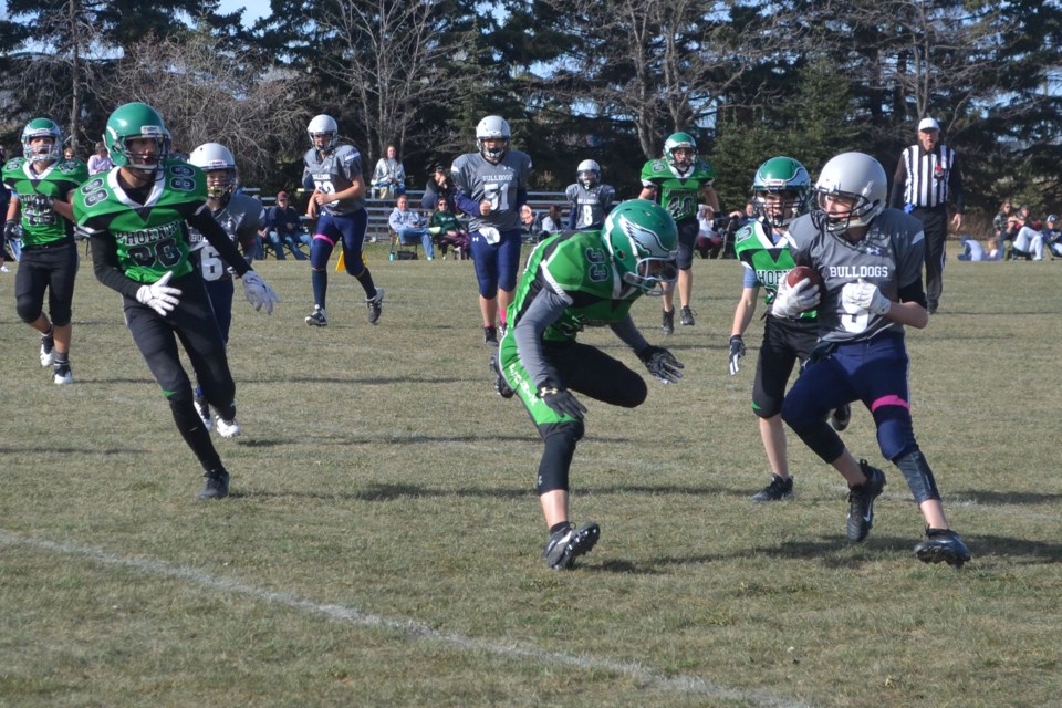 MVT Bulldogs Phoenix-1