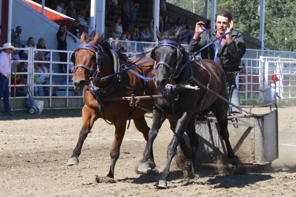 Casey Wright, from Stettler, reins in his team after crossing the finish line with such speed on Sunday during the final performances of the 17th edition of Bulls and Wagons that his hat flew off. 
Simon Ducatel/MVP Staff
