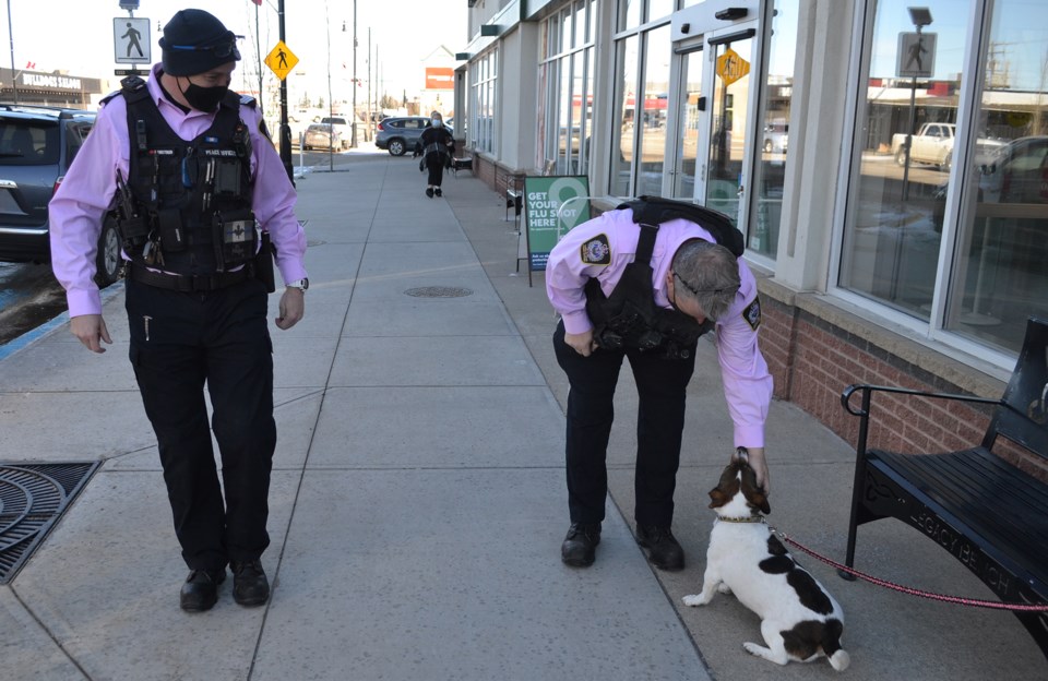 MVT Bylaw officers in pink-dog