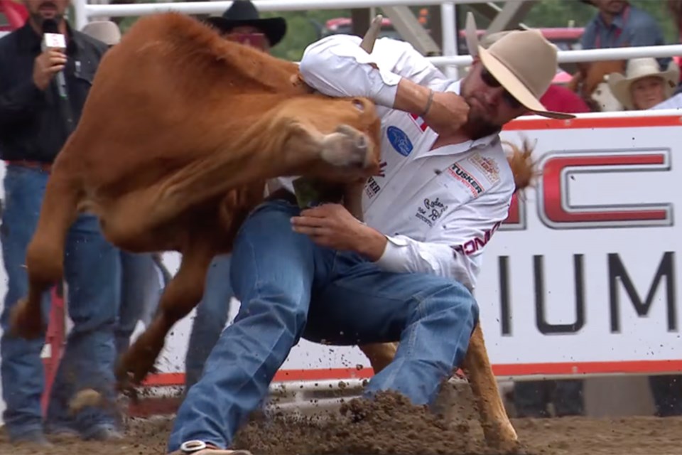 mvt-calgary-stampede-steer-wrestling