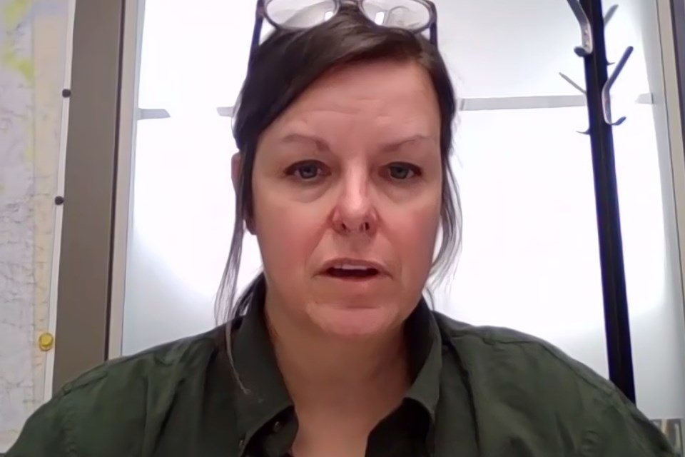 Bug expert Caroline Whitehouse, an entomologist for the provincial government's ministry of Forestry and Parks, responds to concerns raised by a local horticulturalist about the spruce budworm, an eruptive species that feasts on spruce trees that can eventually die after suffering damage for several successive seasons.  
Zoom screenshot