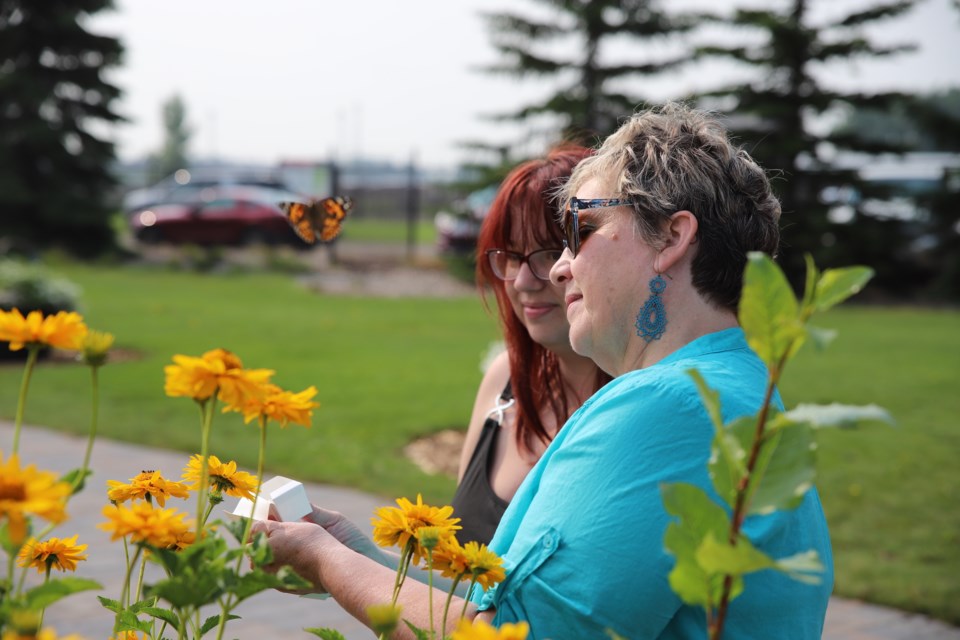 During the third annual Olds & District Hospice Society Butterfly Release event on July 16, services co-ordinator Cindy Palin (foreground) and Saskia Adelsberger released this butterfly in memory of Saskia’s mom Anna-Rose, who recently passed away.
