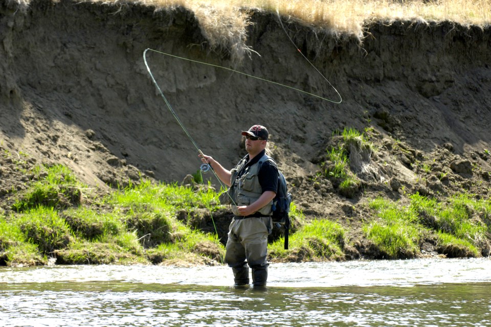 MVT Davidson Park fisher