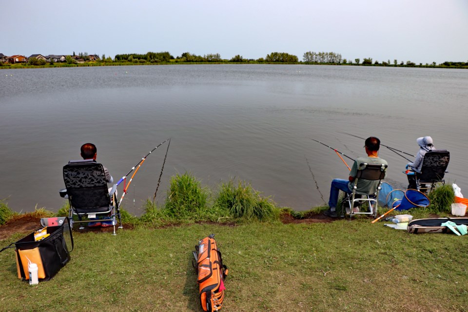 Anglers at Innisfail's Dodd's Lake this past summer. Their presence at the lake increased dramatically this year to fish for the invasive Prussian carp and the stocked rainbow trout. Johnnie Bachusky/MVP Staff