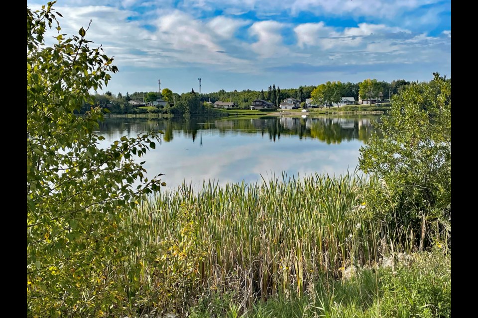 Innisfail's Dodd's Lake from the northeast side with the current boat dock centre-right in the distance. On Aug. 28 Innisfail town council approved several bylaws to allow Ontario-based developer Evertrust Development Group Canada to move forward with massive housing development on this side of the lake. Johnnie Bachusky/MVP Staff