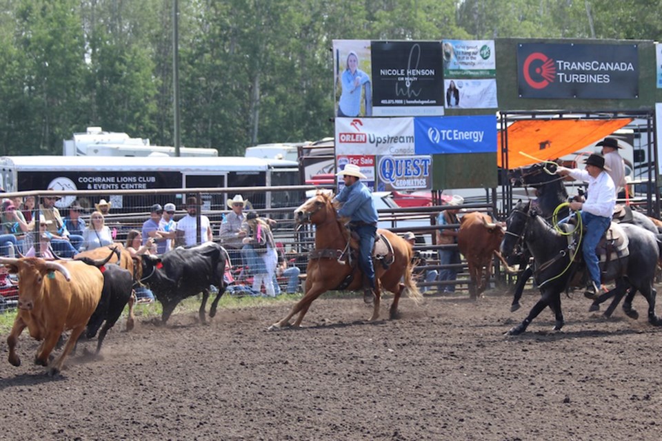 mvt-dog-pound-rodeo-2025