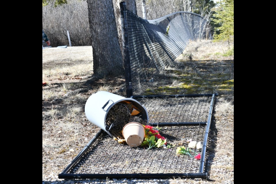 A portion of chain-link fence at the Eagle Valley Cemetery lays flat after being damaged by vandals some time in the days leading up to April 8. 
Submitted photo