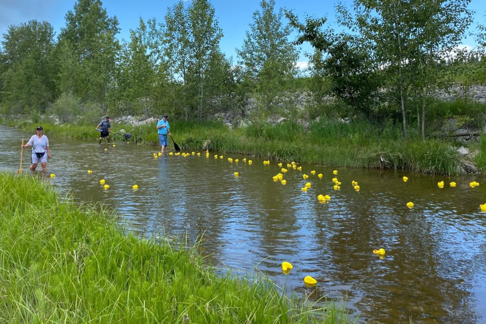 Numerous volunteers dutifully stood by along the creek’s banks to ensure none of the rubber duckies got stuck or left behind, with a catching crew waiting downstream to prevent any from reaching the Red Deer River. Submitted photo  