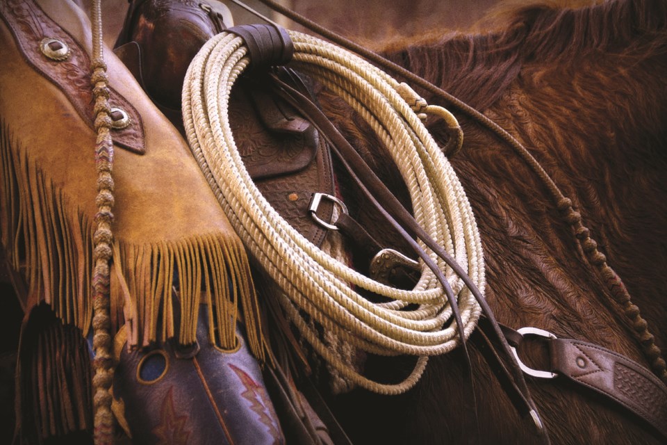 mvt-horse-saddle