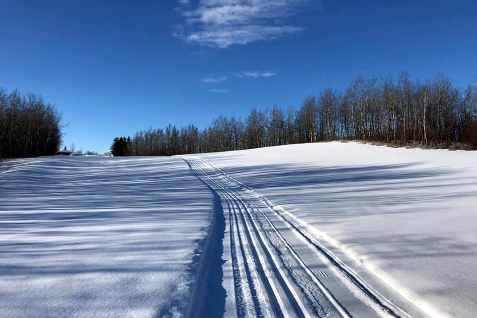 A cross-country ski trail created in winter at the Innisfail Golf Club by the Innisfail Nordic Ski Club. Users now have easier access to both trails on the golf course. Photo courtesy of the Innisfail Nordic Ski Club