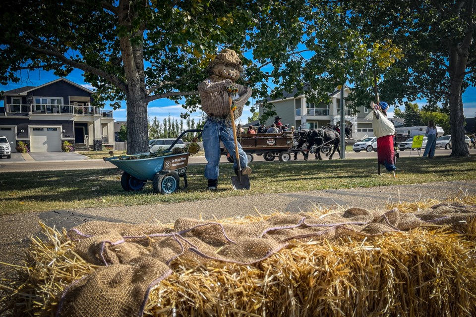 Bales of hay were commonplace at Innisfail's inaugural Harvest Festival on Sept. 17 and 18 at Centennial Park, and they especially fit well with the dozens of entries for the scarecrow competition. 
Photo by Candice Hughes