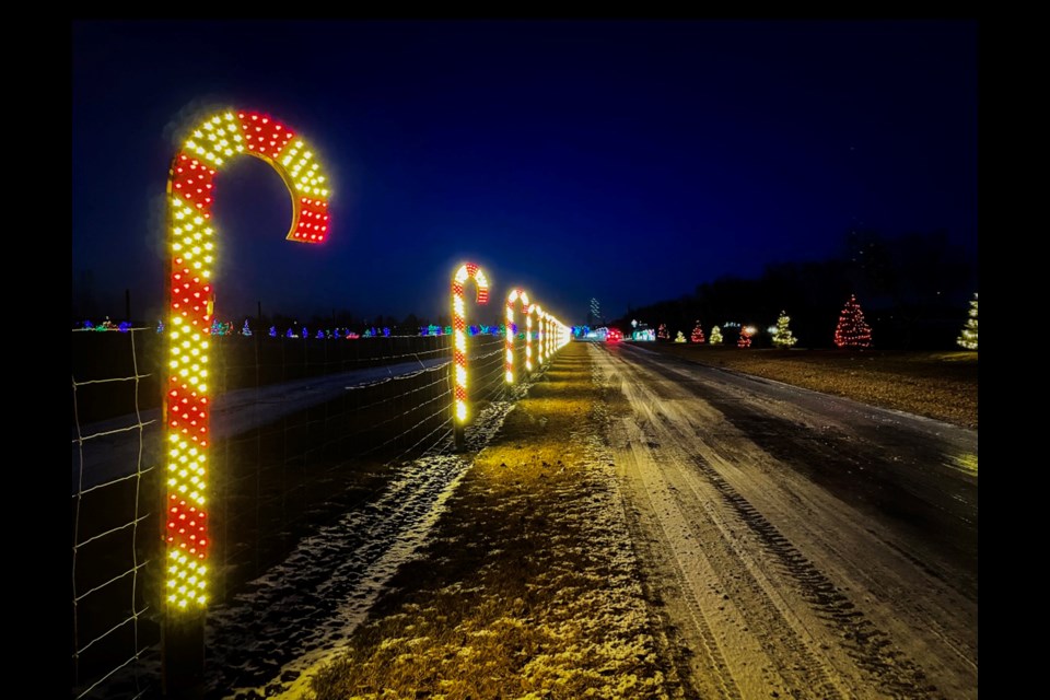 Light the Night's Candy Cane Lane at Innisfail's Discovery Wildlife Park where more than 600,000 lights have created a winter wonderland. Johnnie Bachusky/MVP Staff