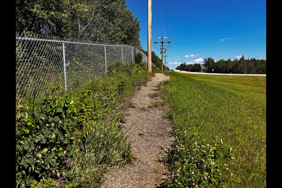 Innisfail's old and deteriorating westside trail that runs alongside Lakewood Drive from the Innisfail Golf Club to the railway tracks. Johnnie Bachusky/MVP Staff