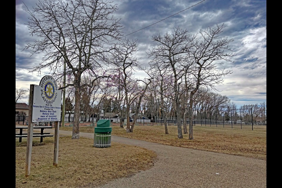 Hundreds of aging trees in the Rotary Ann Park area behind the Innisfail Aquatic Centre will be replaced with new ones. The planned tree removal project will take three years to complete and will start later this spring. Johnnie Bachusky/MVP Staff