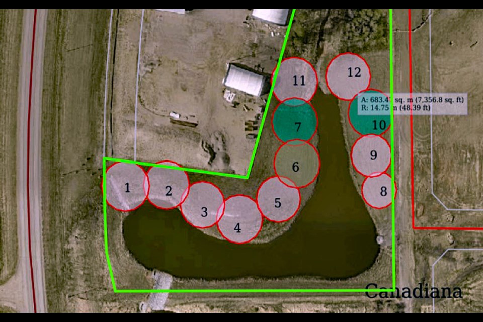The proposed locations of new trees around the Southwest Industrial Pond. The trees include the Western Red Cedar, Lodgepole Pine, White Birch, White Spruce, White Pine (columnar), Yellow Birch, Black Spruce, Balsam Fir, Red Oak, Red Spruce, Sub-alpine Fir and Tamarack. Town of Innisfail graphic