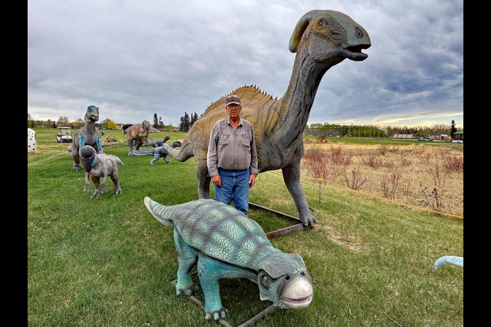 Doug Bos, co-owner of Innisfail's Discovery Wildlife Park, stands among a selection of his recently acquired animatronic dinosaurs that are now ready for viewing at the zoo. Johnnie Bachusky/MVP Staff