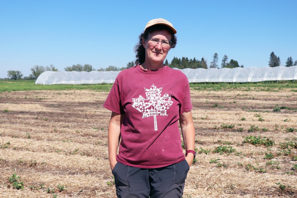 Leona Staples, co-owner of The Jungle Farm, stands in one of her hail-devastated strawberry fields. She said it was the worst natural disaster her farm has experienced in 25 years at the 125-year-old farm. 
Johnnie Bachusky/MVP Staff
