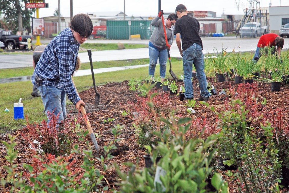 Isaiah Dykstra was among a group of Grade 8 students working last Thursday on the landscaping along Main Avenue West across the road from Tim Hortons. 
Simon Ducatel/MVP Staff