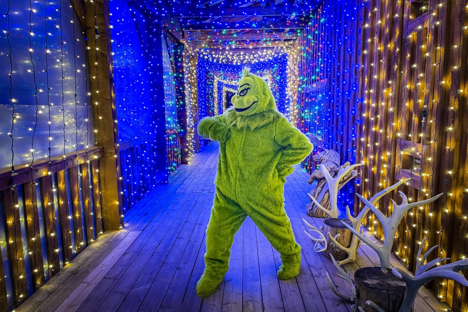 The Grinch poses amidst the spectacular lights on one of the decks of the main building at Discovery Wildlife Park. 
Johnnie Bachusky/MVP Staff