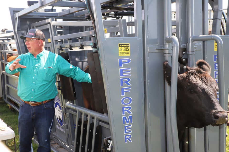mvt-livestock-ultrasound-cow