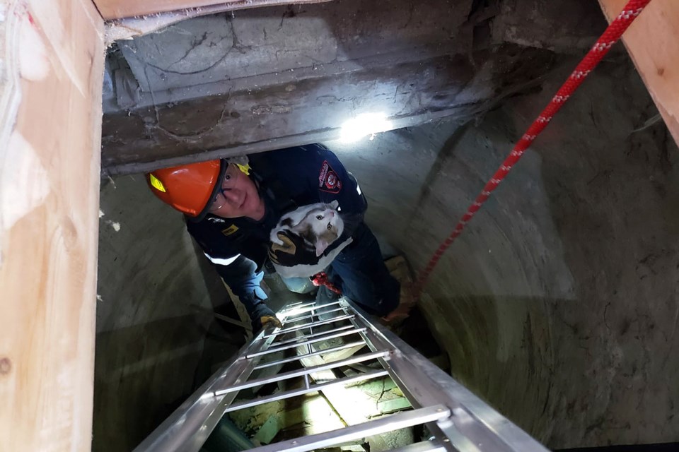 An Innisfail firefighter brings up Lobo to safety from the depths of the dark well where he was imprisoned for as long as two weeks.
Photo courtesy of Innisfail Fire Department