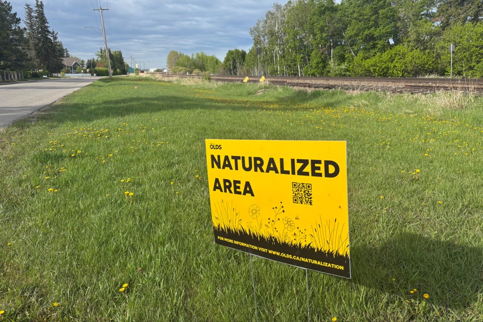 mvt-naturalized-area